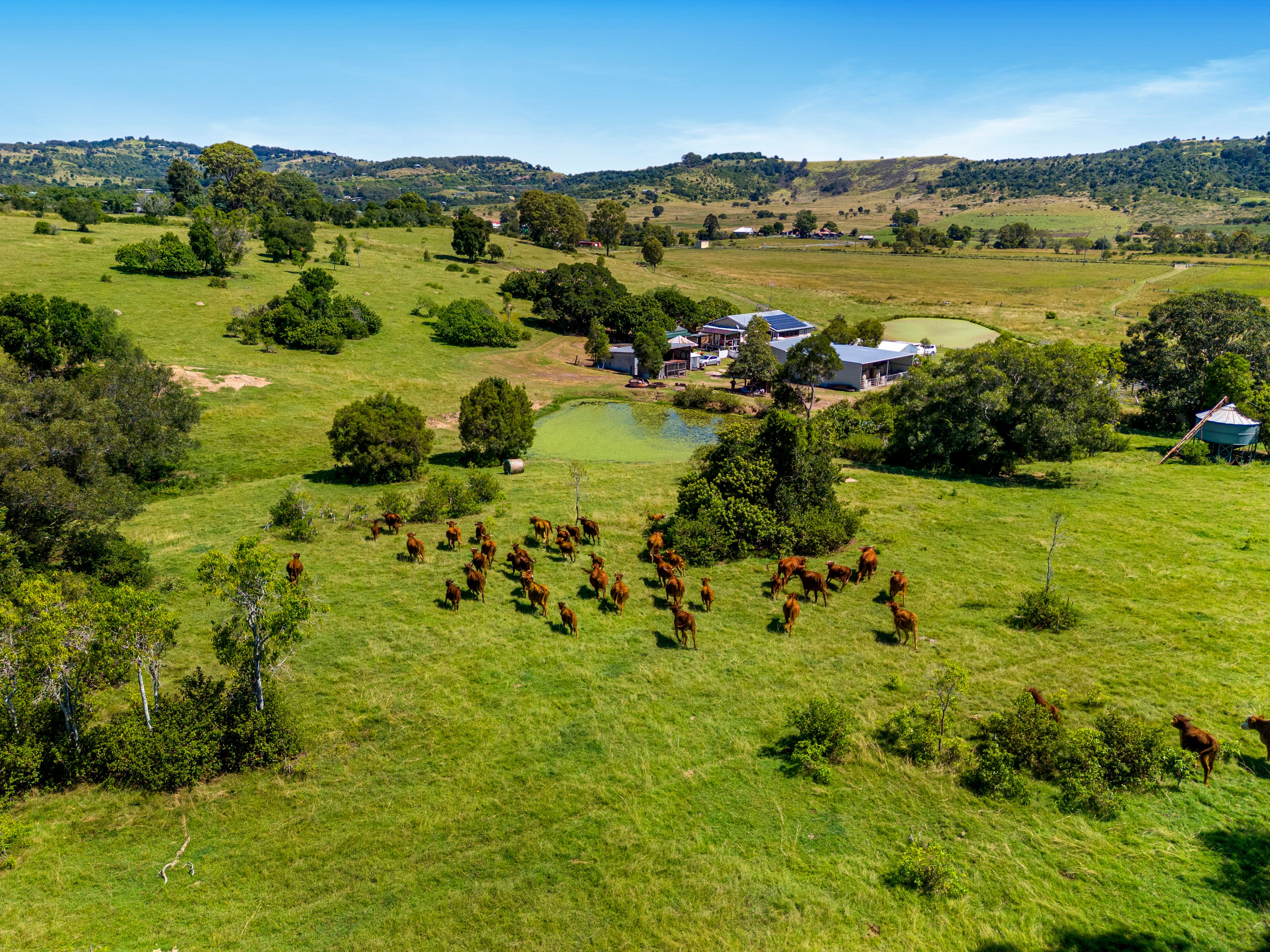 861 LOWOOD MINDEN RD, MINDEN QLD 4311, 0 chambres, 0 salles de bain, Lifestyle Property