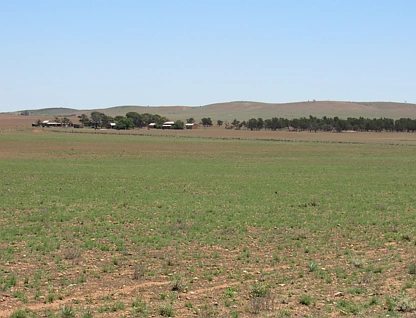 "The Pines" 75 Lang Road, Sunnybrae, Barossa - Yorke - Mid North, 0 Schlafzimmer, 0 Badezimmer, Lifestyle Property