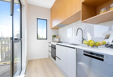 Brand New Home with Park Views