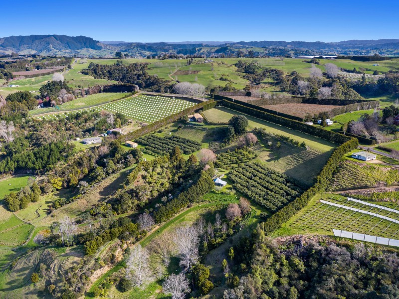 333 Paerata Ridge Road, Opotiki and Surrounds, Opotiki, 4 ਕਮਰੇ, 0 ਬਾਥਰੂਮ