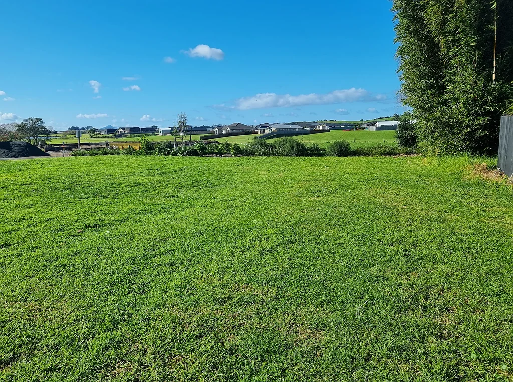 Waipu  Prime Location - Vendors Pain is Your Gain