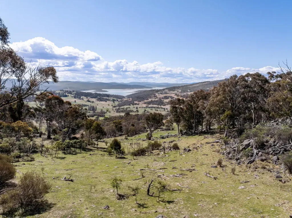 Eucumbene  Natural Alpine Bushland