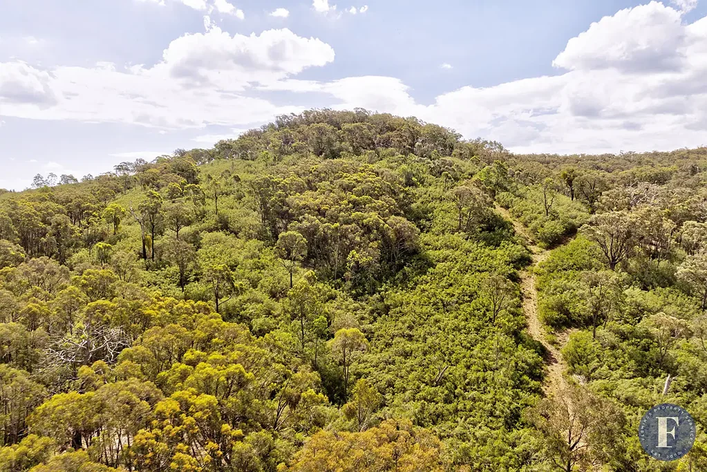 Taylors Flat  Private Bush Block