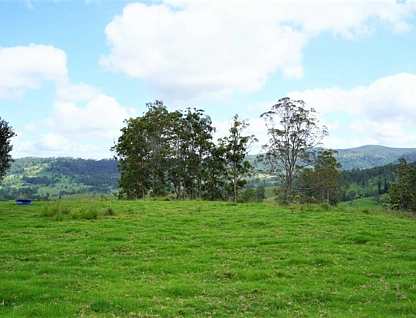 Lot 47 - 807 Tunglebung Creek Road, Casino, North Coast, 0 habitaciones, 0 baños, Lifestyle Property