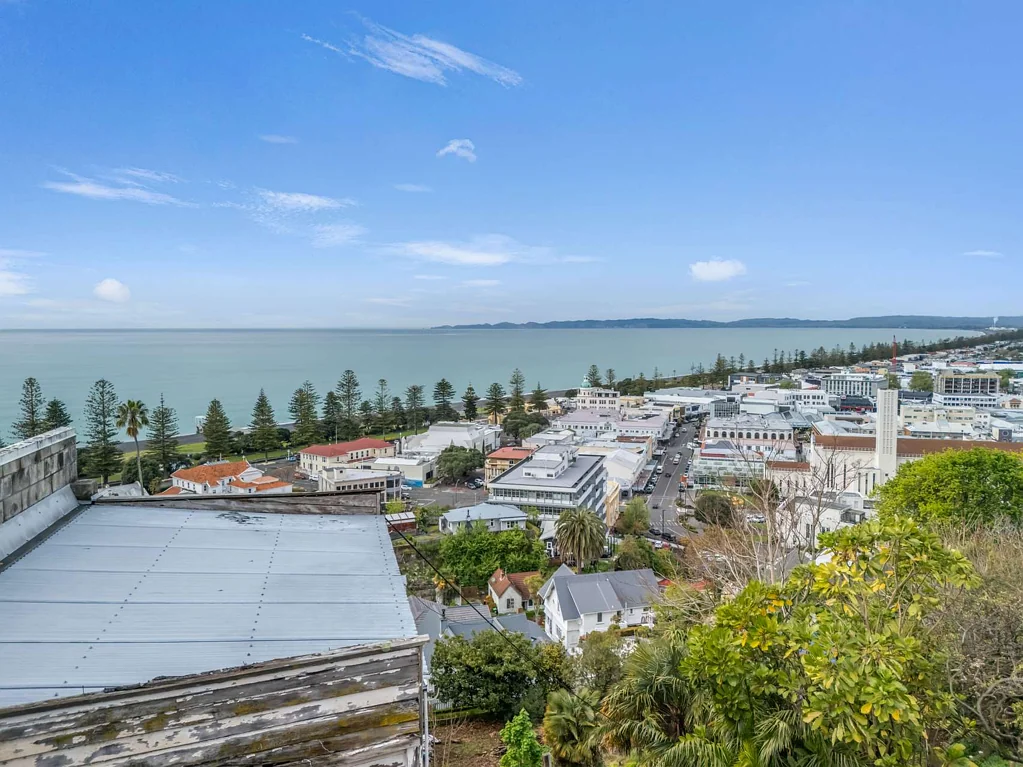 Napier Hill 3Habitaciones High on Bluff Hill With Space to Reimagine