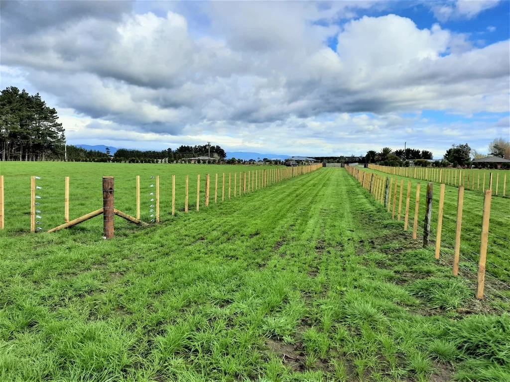 157 Motuiti Road, Foxton, Horowhenua, Manawatu-Wanganui