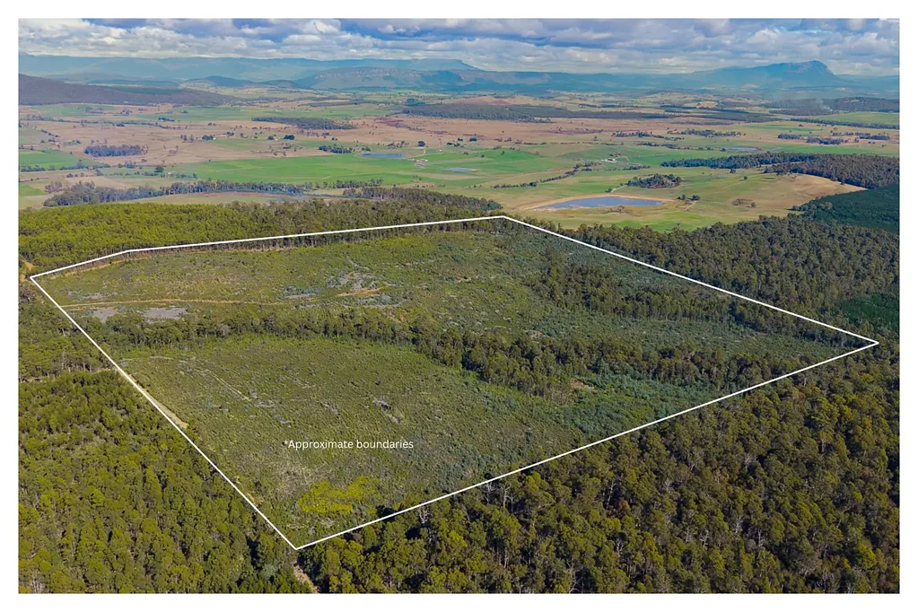 Parkham  THIS SPACE: Expansive Rural Holding with Panoramic Views on Approx. 63 Hectares