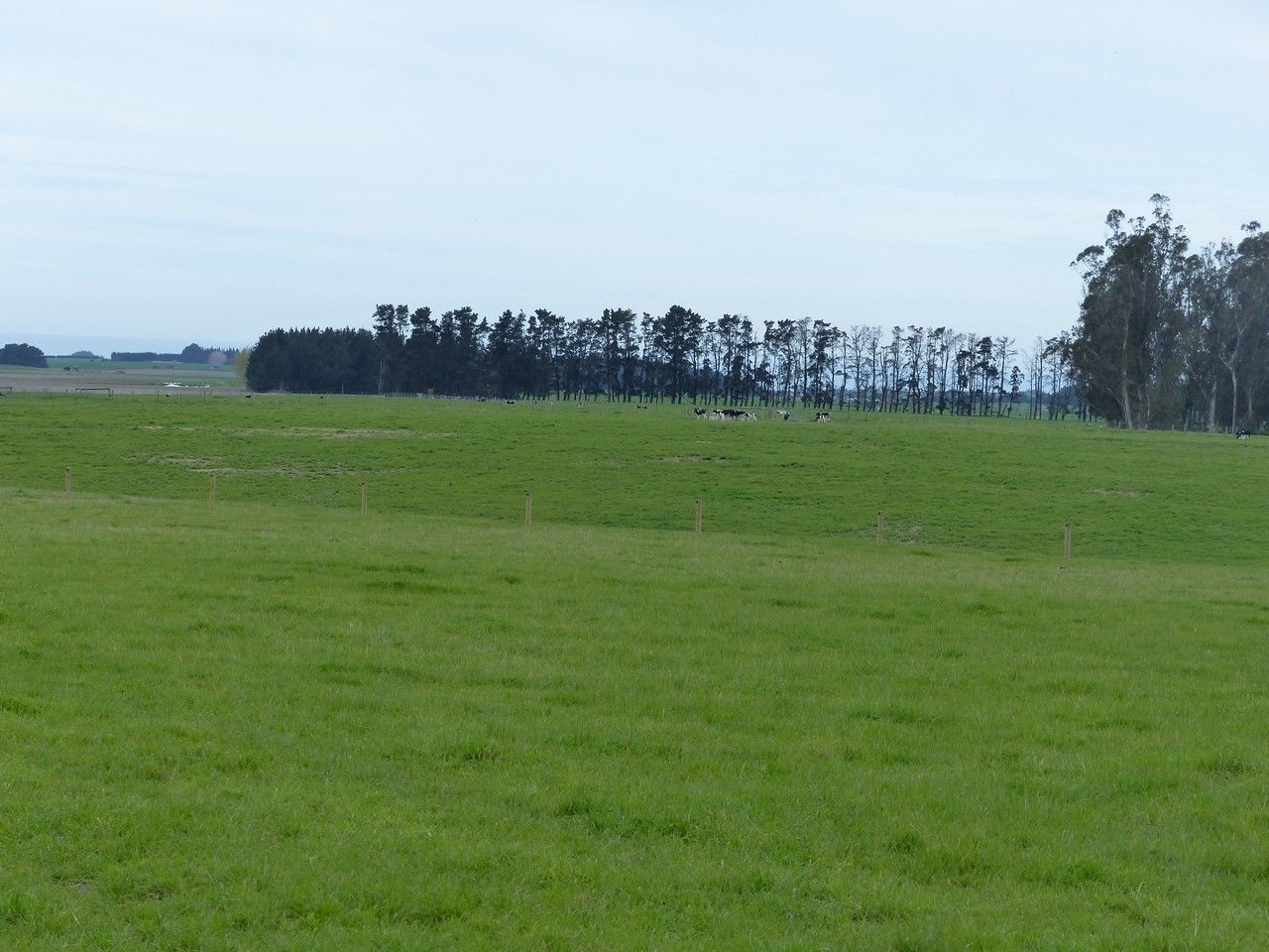 Tavistock Road, Otaio, Waimate, 3 habitaciones, 0 baños