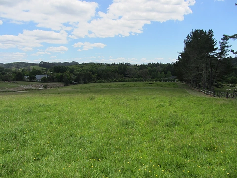 Dairy Flat  Price reduction! Room for toys - Lot 6: 1.00ha