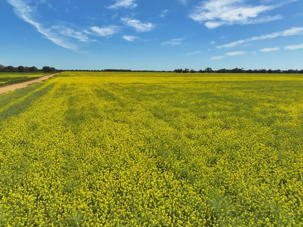 Lot 1 Coughlins Road, Hunter, VIC 3558