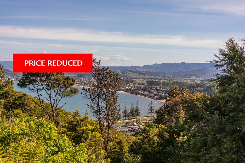 Whitianga 3房  WHITIANGA FAMILY LIVING, SEA VIEWS & NATIVE BUSH