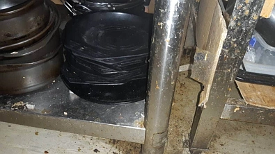 蟑螂乱爬、后厨脏乱！奥克兰最脏餐厅更新了，中餐馆赫然上榜，看看你踩雷了吗？