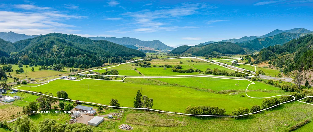 Picton Dairy Grazing and Supplements