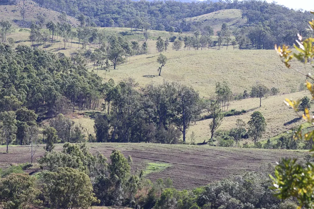 6 Greenbank Road, Mount Perry, QLD 4671