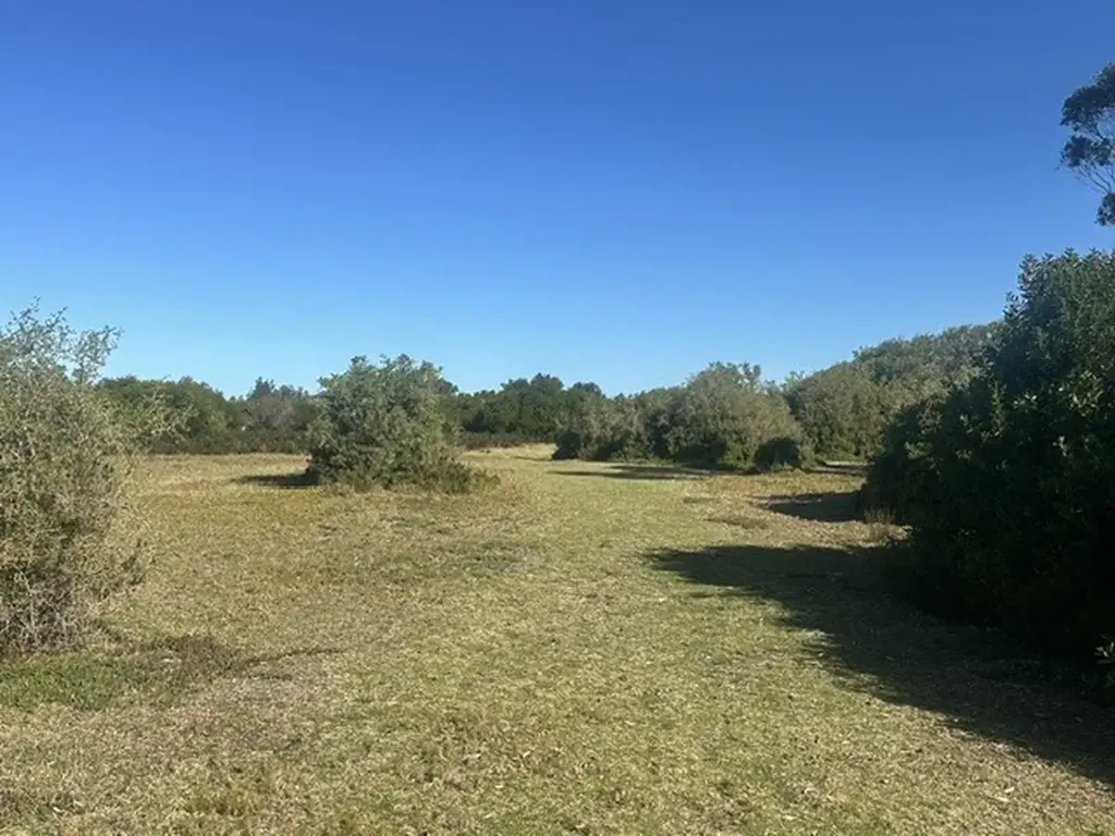 Golden Beach 80ha (app) With Huge Potential