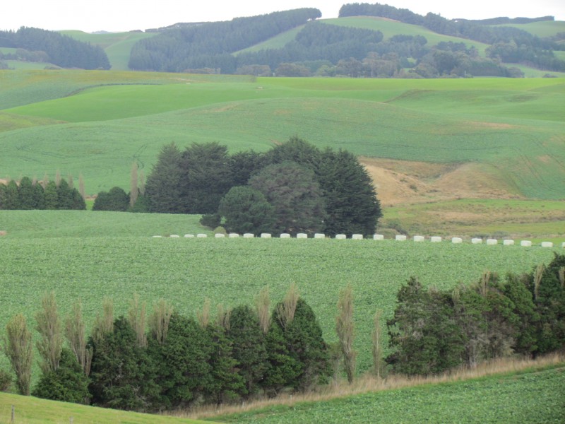 328 Woodslea Downs Road, Wyndham Surrounds, Southland, 0 rūma, 0 rūma horoi, Grazing