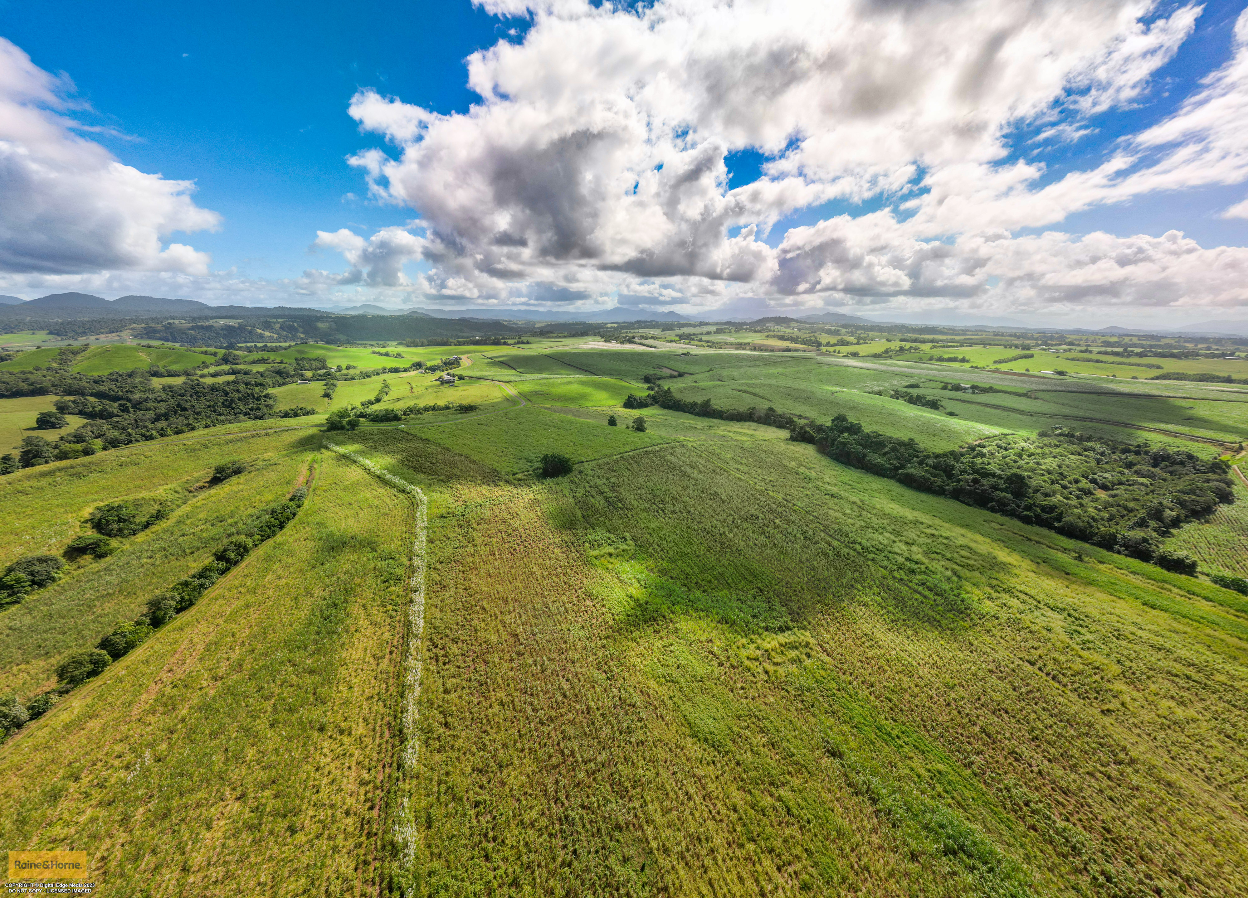 73 FLEMINGS BRANCH RD, SOUTH JOHNSTONE QLD 4859, 0 rūma, 0 rūma horoi, Lifestyle Property