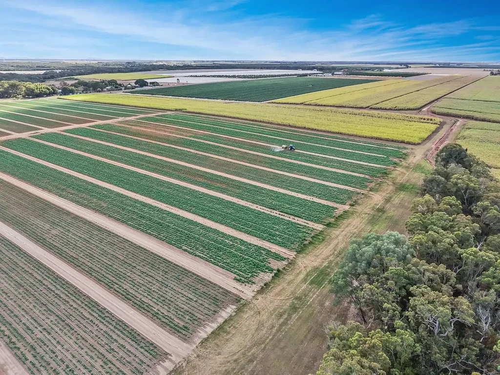 Alloway 198.55 Ha Irrigated Macadamia & Cultivation Aggregation