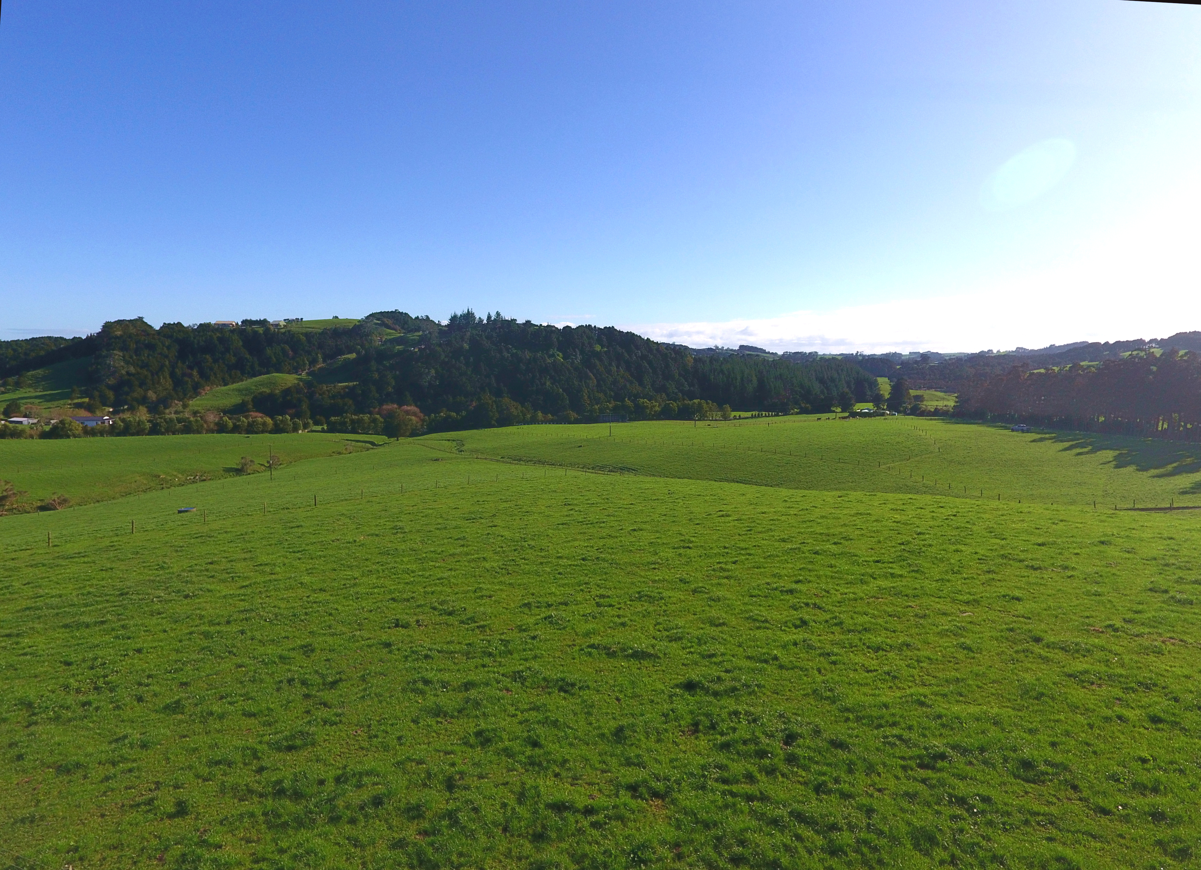 298 Waiteitei Road, Wellsford, Auckland - Rodney, 0 ਕਮਰੇ, 1 ਬਾਥਰੂਮ, Dairy