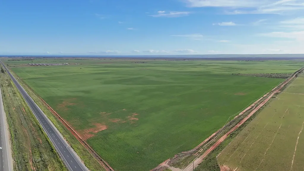 Port Wakefield YELLANDS & LINKIES
