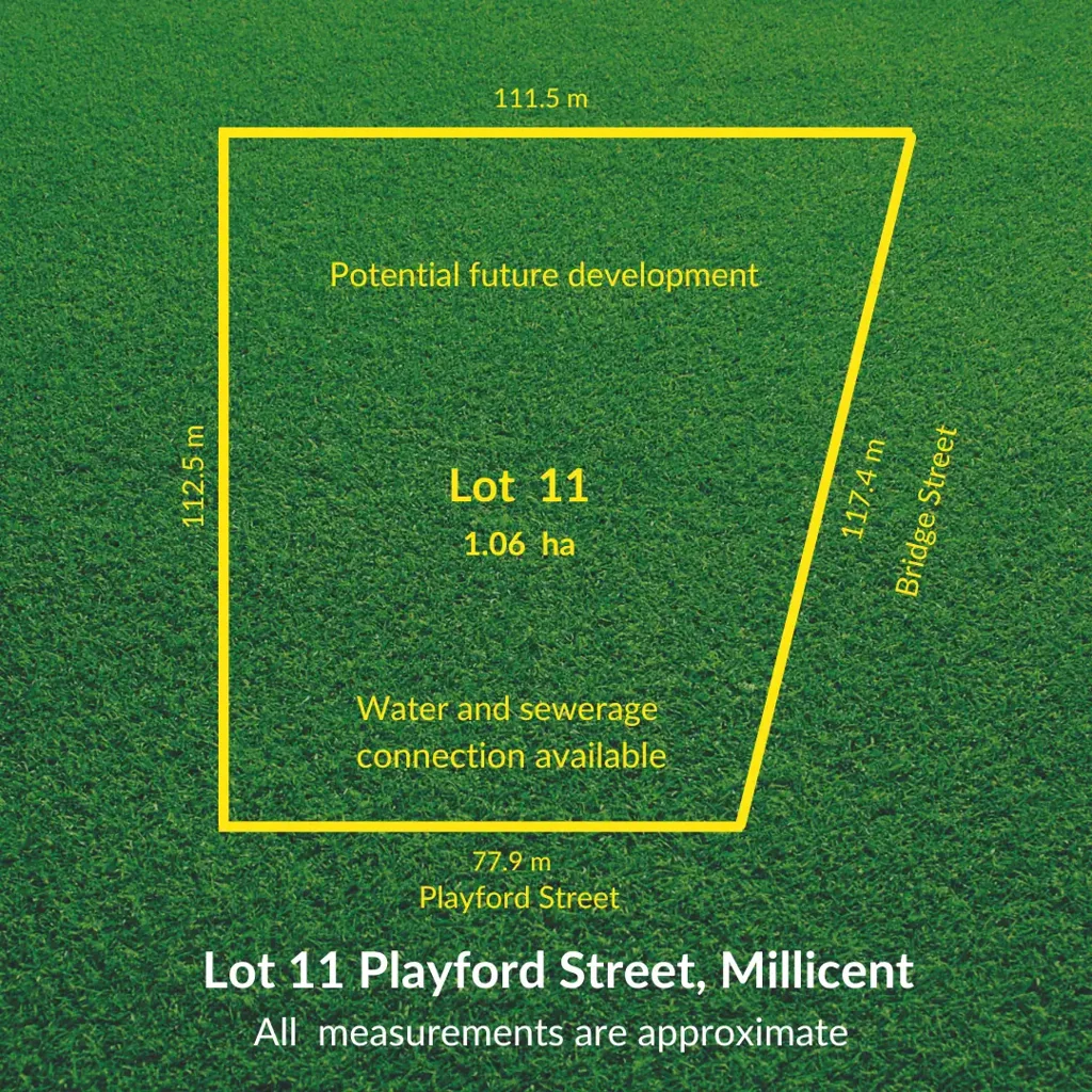 Millicent Massive Subdivision & Development Opportunity - Corner Block in Prime Millicent Location