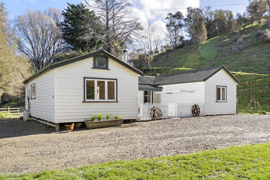 Masterton Live wild, live well
