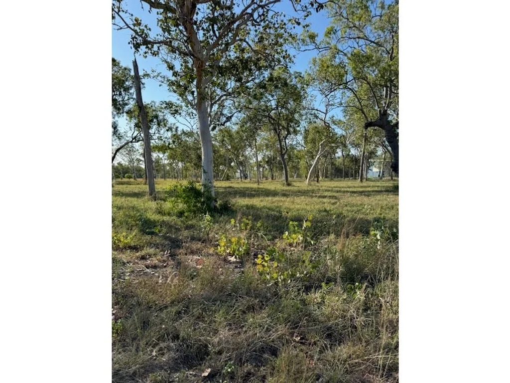 3 O'FLYNN CRESCENT, Midge Point, QLD 4799