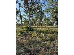 3 O'FLYNN CRESCENT, Midge Point