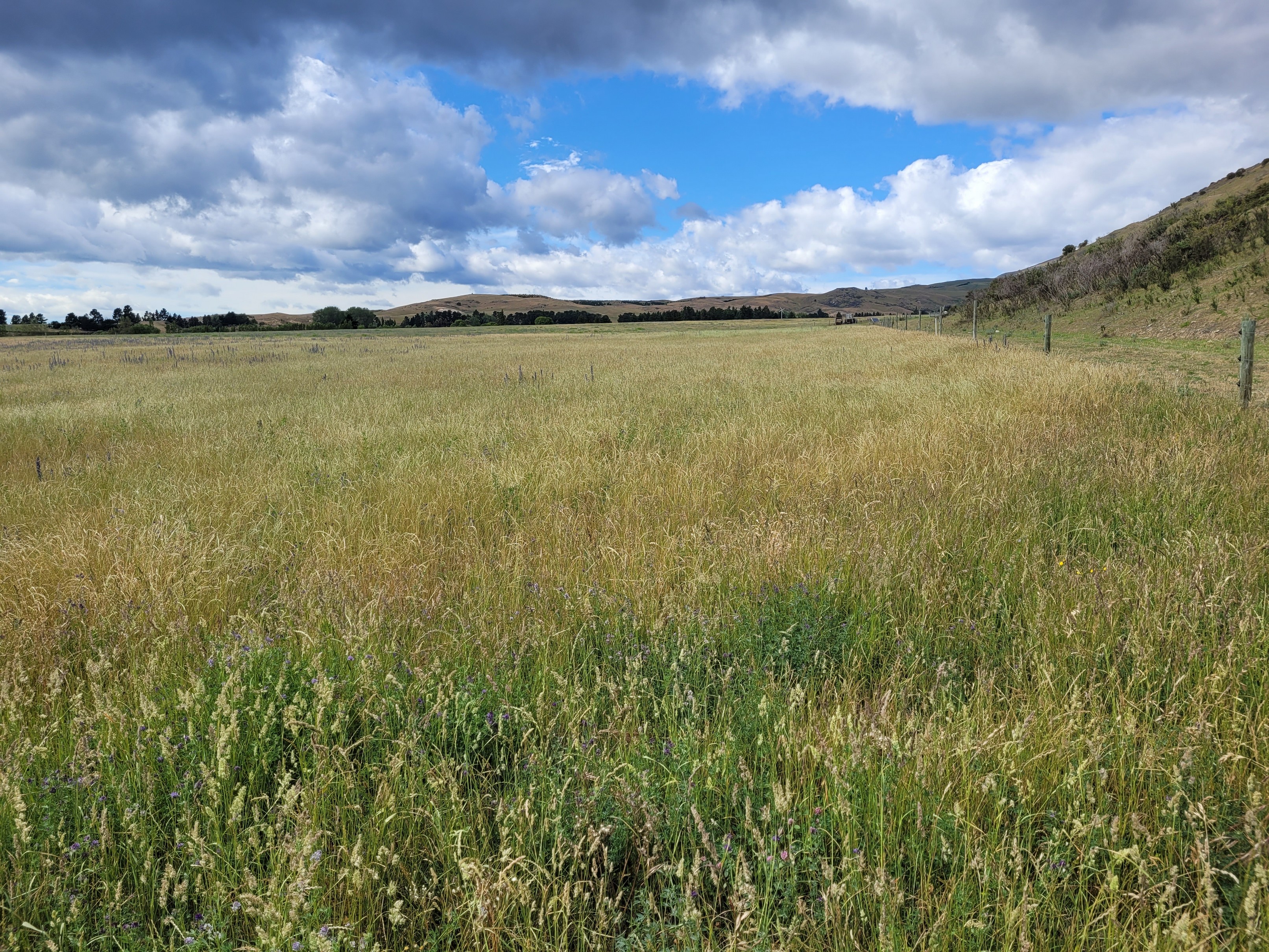 Grants Road, Otiake, Waitaki, 0房, 0浴, Bare Land