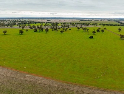 'Starsight', 3074 Grassmere Road, Condobolin, Central Tablelands, 5 ਕਮਰੇ, 2 ਬਾਥਰੂਮ, Lifestyle Property