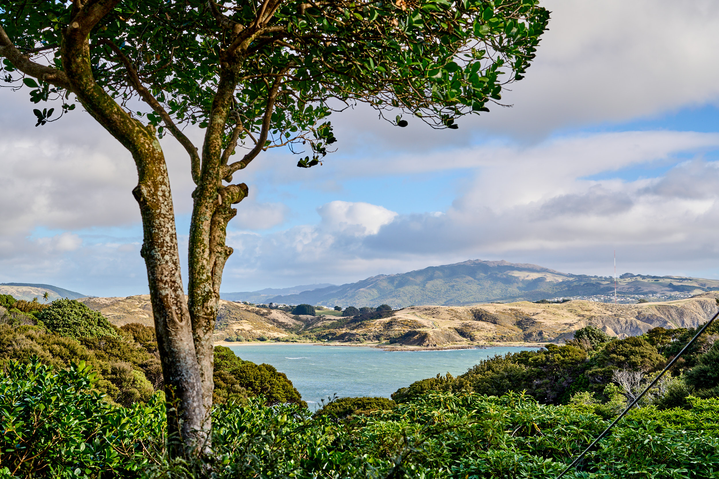 98 Motuhara Road, Plimmerton, Porirua, 3 phòng ngủ, 1 phòng tắm, House