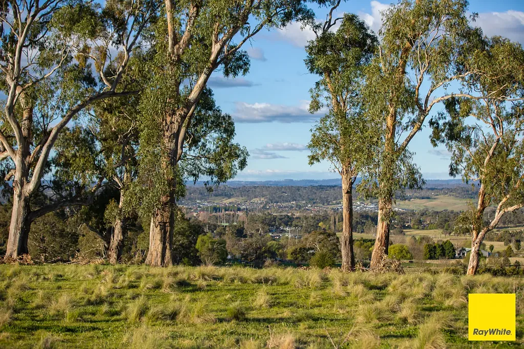 Armidale Prime Lifestyle Land Opportunity - 19.86* Hectares on the Edge of Armidale