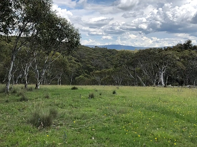 Address Withheld, Moonbah, NSW 2627, 0 Bedrooms, 0 Bathrooms, Section