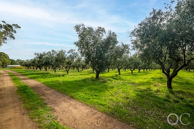 ਹੋਰ - Lot 50 Gaffney Road, Willunga, SA 5172