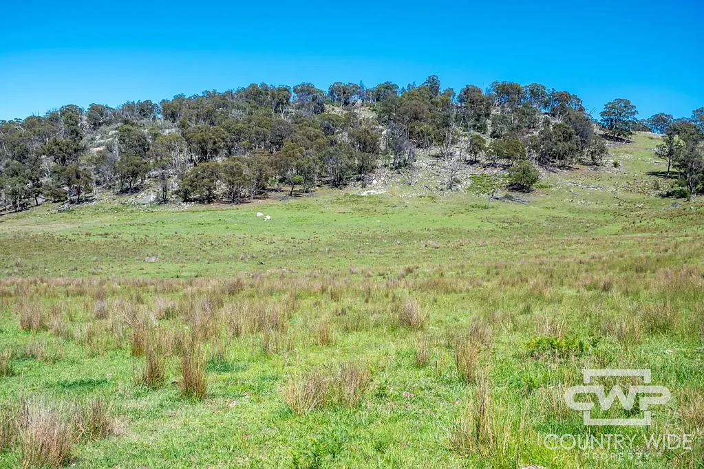 Deepwater Eastern Grazing Land