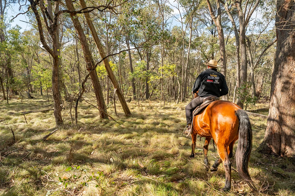 Bullioh Australian bush conservation.