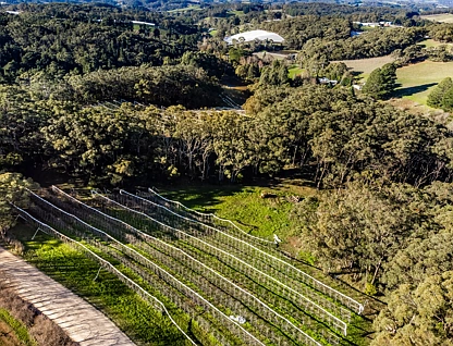 Section 385 Lobethal Road, Forest Range, Adelaide Hills, 0 ਕਮਰੇ, 0 ਬਾਥਰੂਮ, Section
