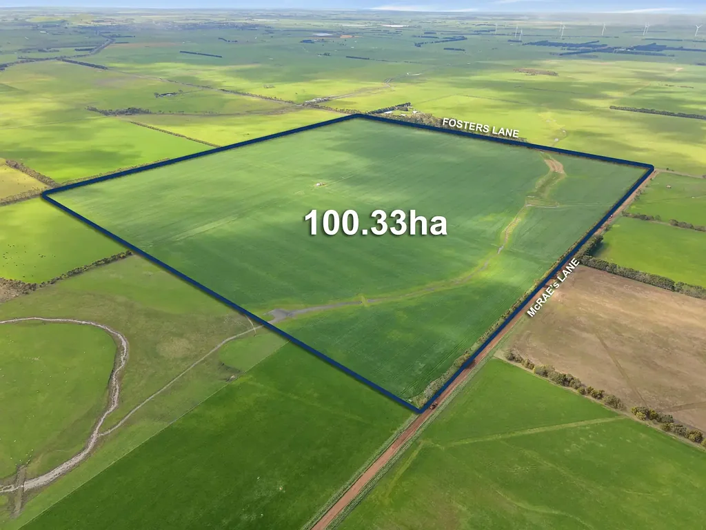 Mortlake Slightly undulating 101 hectares of lifestyle property, ideal for grazing and cropping or building your dream home