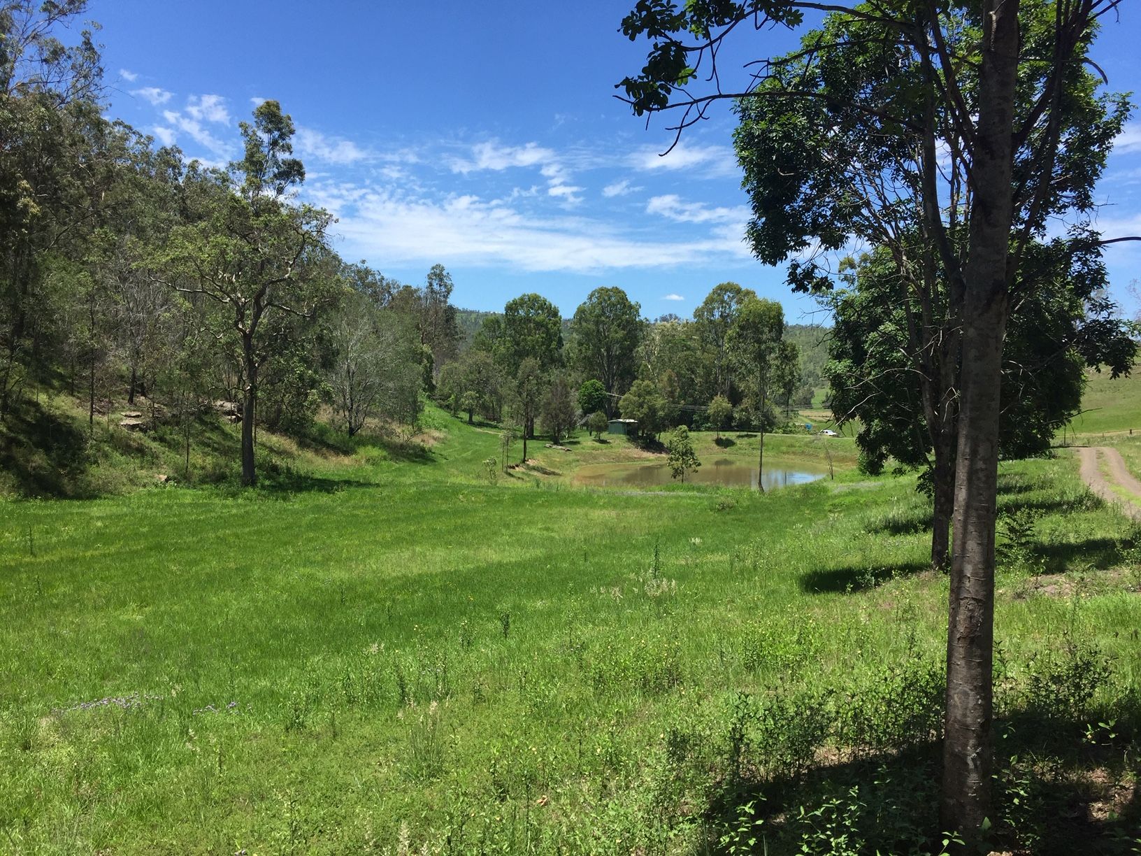 THE FLOWER FARM 565 KOORALBYN RD, KOORALBYN QLD 4285, 0 Kuwarto, 0 Banyo, Lifestyle Property