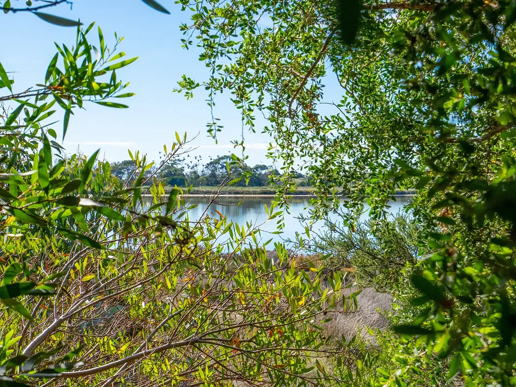 Marion Bay Let Your Dream Become a Reality