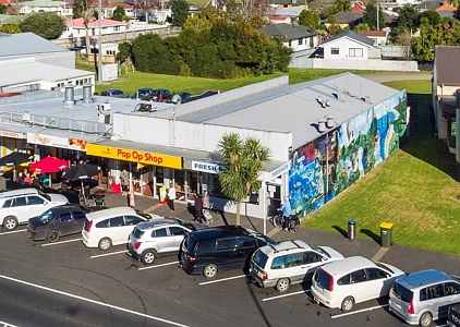 Business  Town Centre Zone