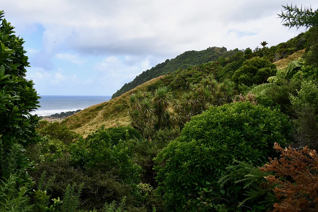 Karamea  Rare Opportunity
