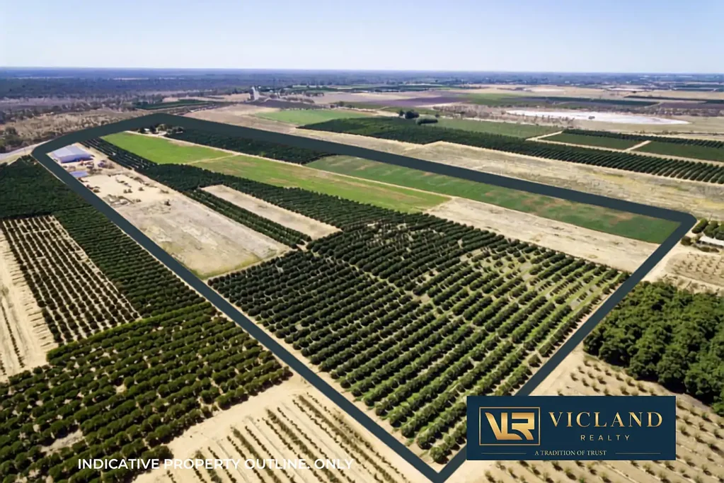Iraak 3Habitaciones Premium Citrus Orchard with Proven Income