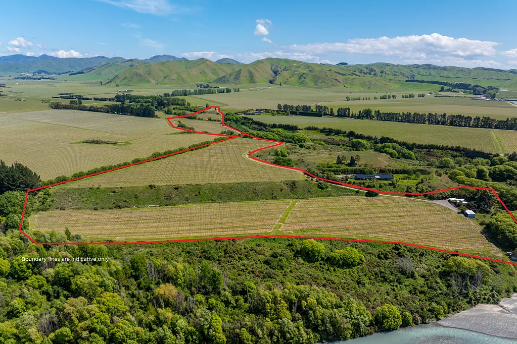 Seddon  Vendors expectations reflect market conditions