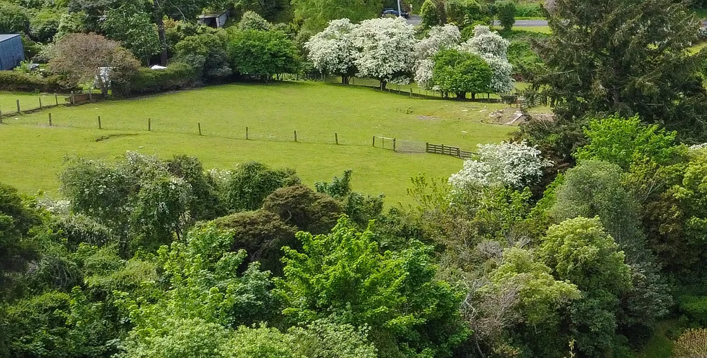 North East Valley A Rare Lifestyle Section on the City Fringe