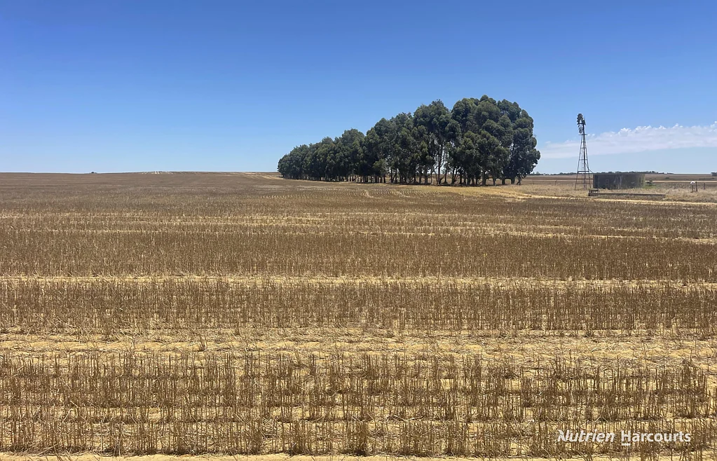 Watheroo "Open Plain Farming"