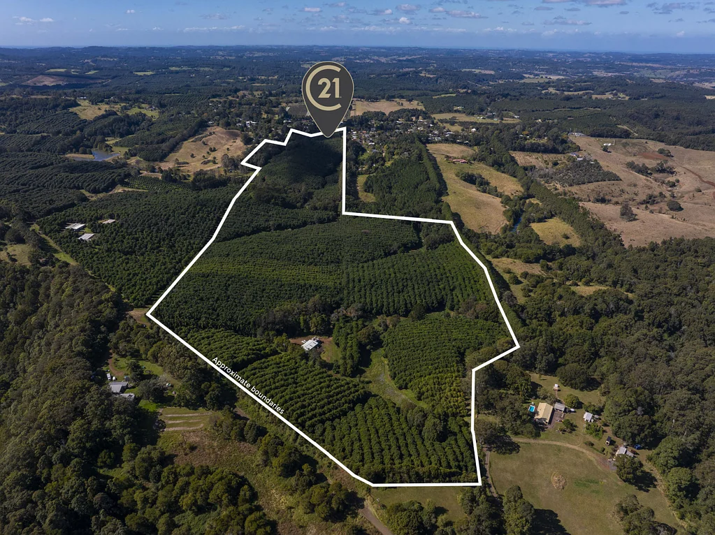 Dunoon 1部屋 Commercial Macadamia Farm
