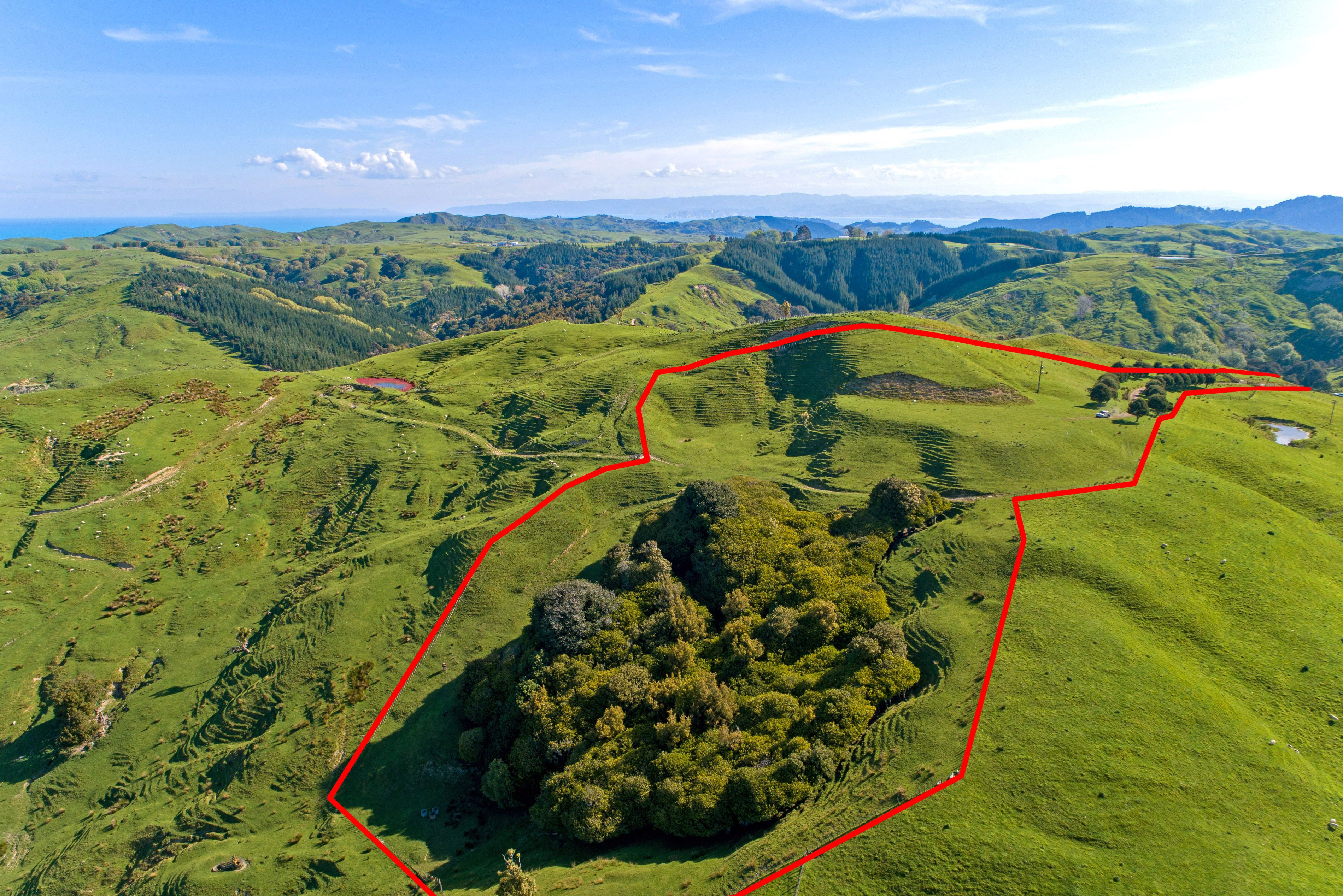 Goodwin Road, Matokitoki, 0 ਕਮਰੇ, 0 ਬਾਥਰੂਮ, Lifestyle Section