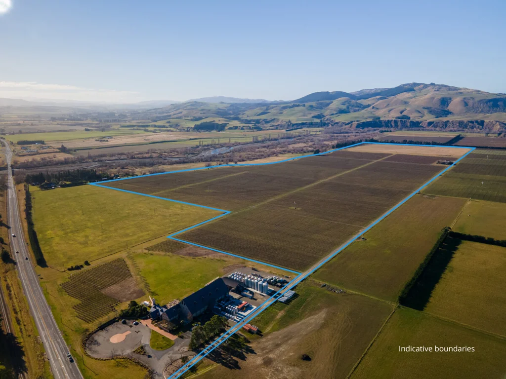 Waipara Landbank / Grazing Opportunity In 5 Titles