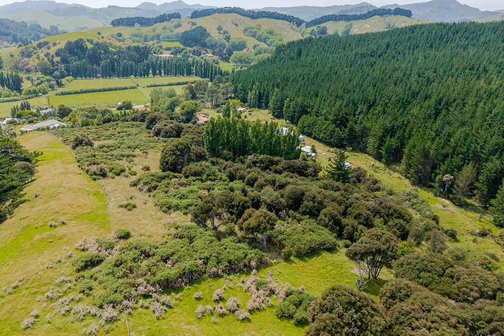 Tinui Discover Your Own Private Bush Paradise